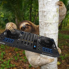 chillin in my tree mixing dnb