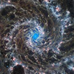 New Born - Space Rubble (drorchok vers)