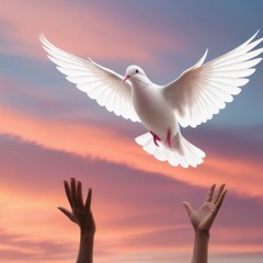 23. The Freedom of Forgiveness