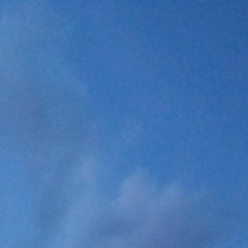 mikrokorg + distortion (mono)