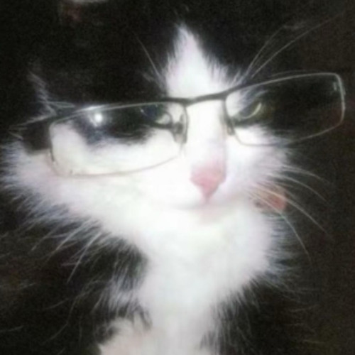 entry log 1 (show me)