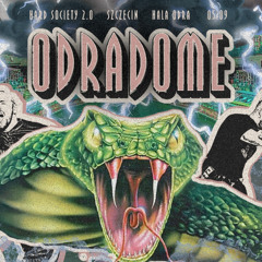 Coarsection @ Hard Society 2.0 Odradome | 05.09 Hala Odra, Szczecin(Millenium Hardcore)