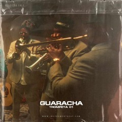 Guaracha Trompeta 01  - **NO DISPONIBLE / NOT AVAILABLE**