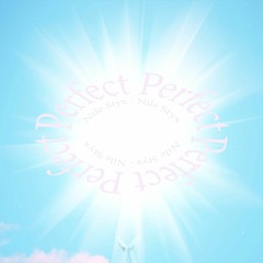 perfect [prod. Nile Styx]