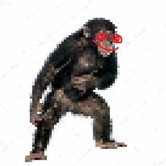 MONKEY OMEGA