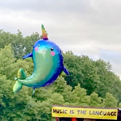 Deep Narwhal Rainbow Summer