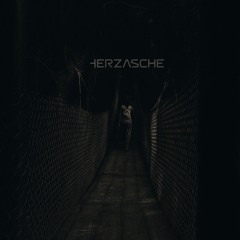 HERZASCHE