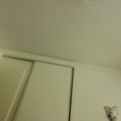 DRAGON DROJO (SOC SER)