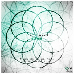 Forest Weed - Surreal (Original Mix)