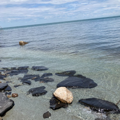 Winterborn 2k25 May Samples