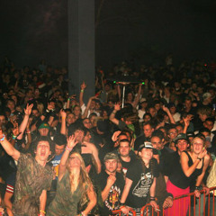 D&b Raver