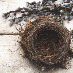 Nightingale (Norah Jones cover)