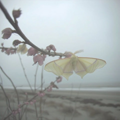 For_you_I_take