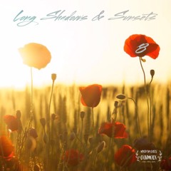 Long Shadows & Sunsets 8