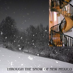 THROUGH THE SNOW OF NEW MEXICO