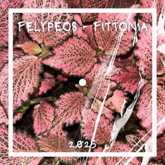 Felypeos - Fittonia