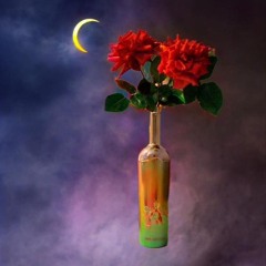 The life provoking (mix I).m4a