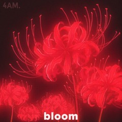 bloom