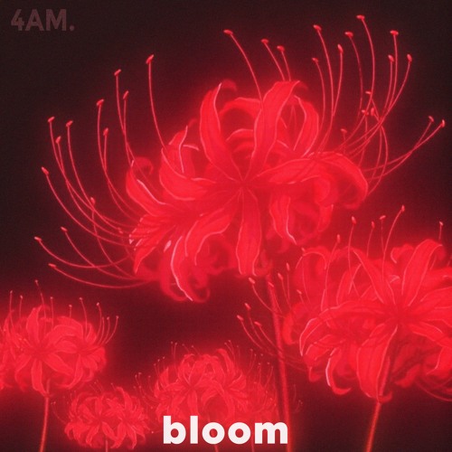 bloom
