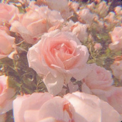 Dil Royi Jaye (slowed + reverb)🌻