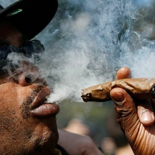 TO FUMANDO UM CHÁ COM A SEDA PRETA - ( DJ EDIN )TIKTOK  MC´s MADAN  NANDINHO E  PEDRINHO DO ENGENHA