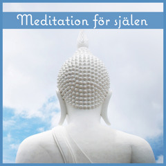 Morgon meditation I