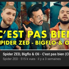 bigflo et oli cest pas bien