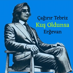Kuş Oldunsa
