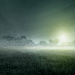 willow souls