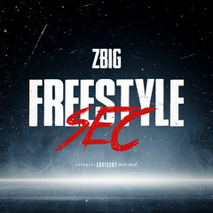 Freestyle Sec