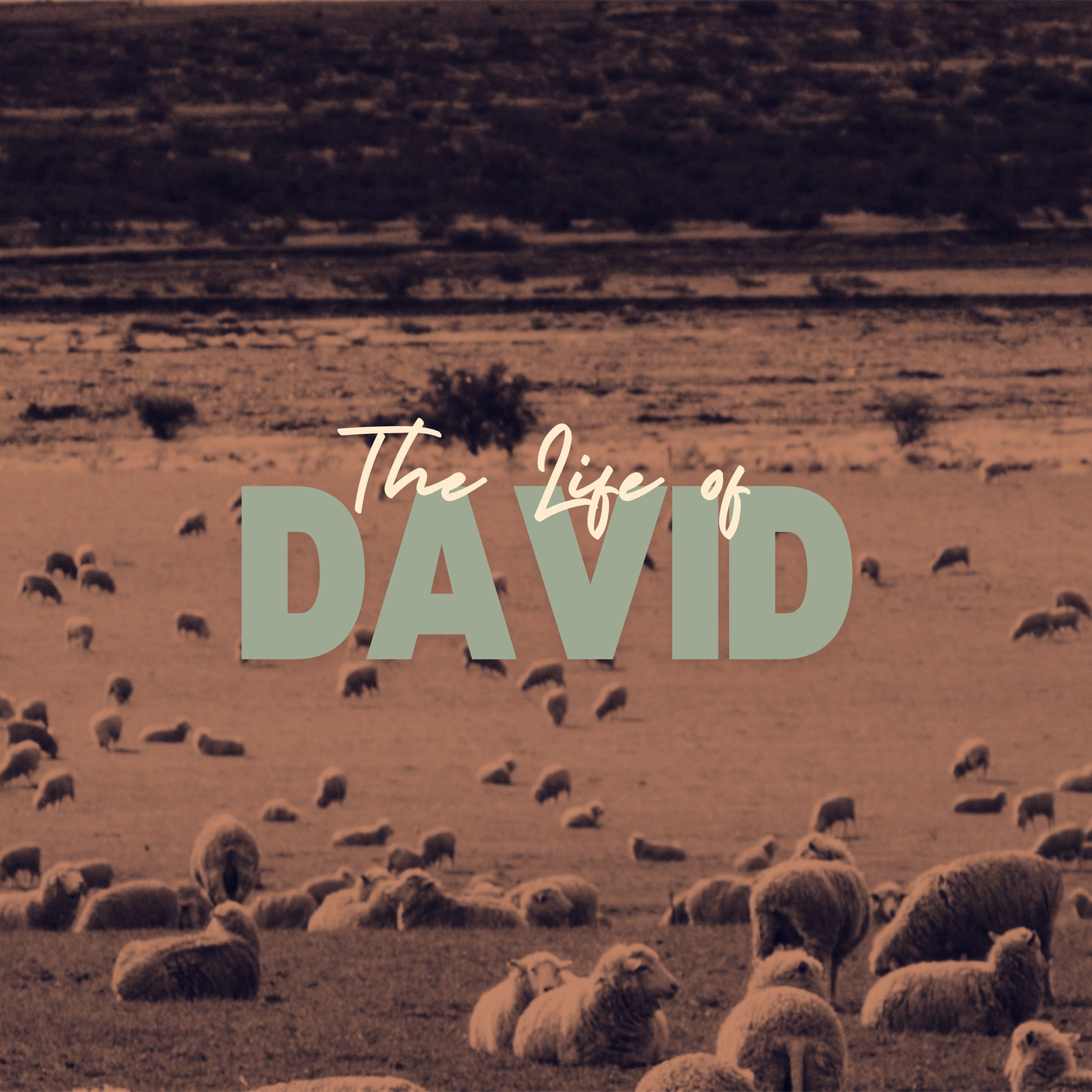 October 13, 2024 - Eric Barton - 2 Samuel 6:1-23 “Ark” episode artwork