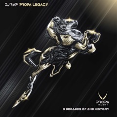 Poison Chang Love The Woman DJ Rap Remix.mp3