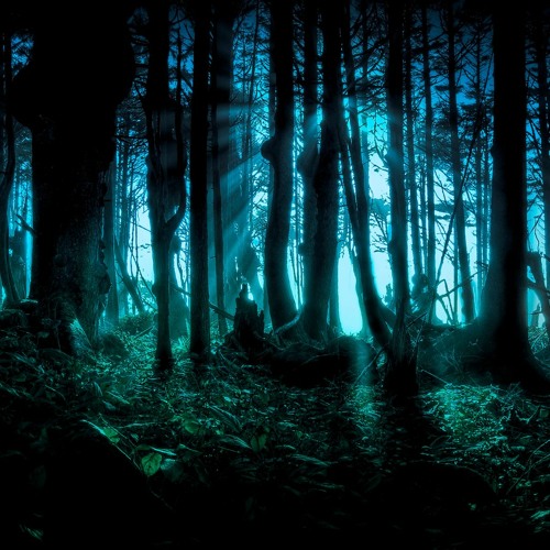 Calibria - Satisfaction KeLLoG's