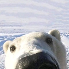 chill riddim beats to relax/study to