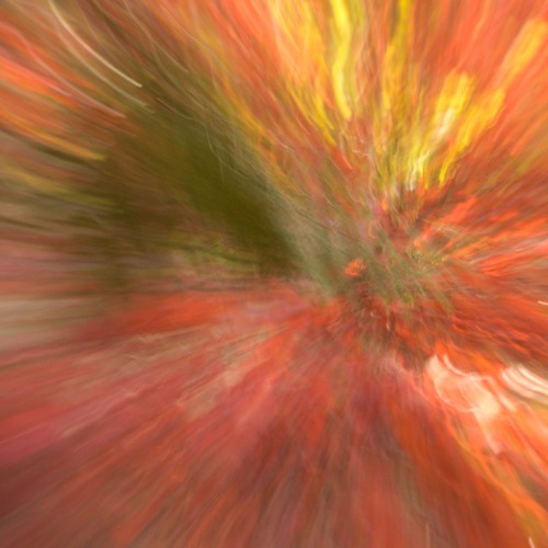 Artifact-012-WaveSong III
