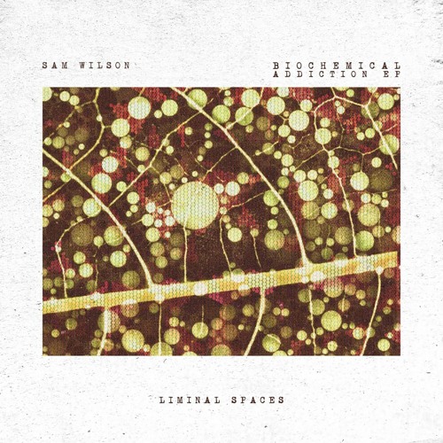 PREMIERE: Sam Wilson - Biochemical Addiction [Liminal Spaces]