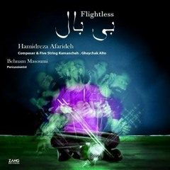 Flightless Hamidreza afarideh / بی بال حمیدرضا آفریده