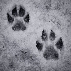 a traves d tu mascara prod me otruem