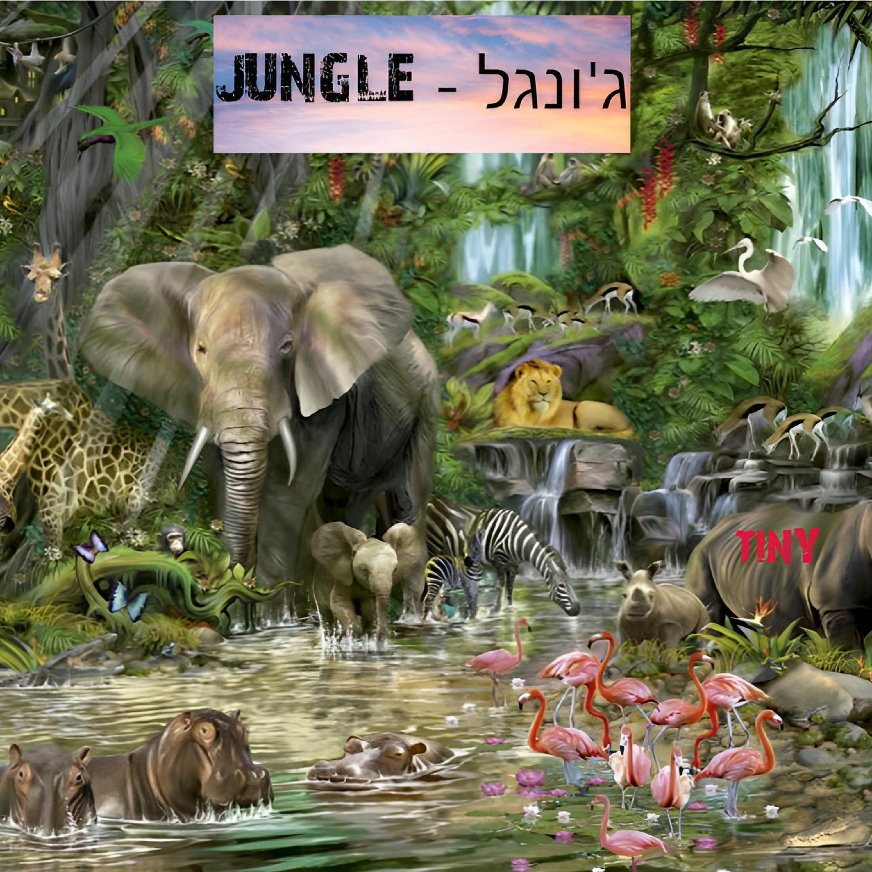 ג'ונגל -Jungleַ episode artwork