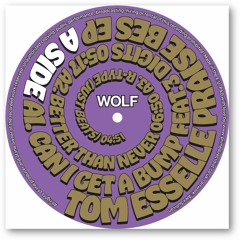 PREMIERE: Tom Esselle - R - Type (Just Beats) [Wolf Music]