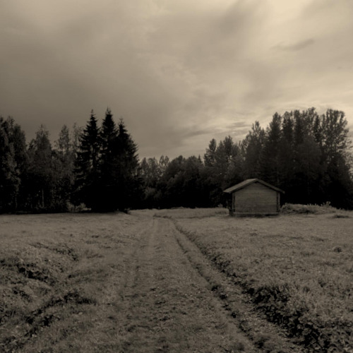 Distant Void