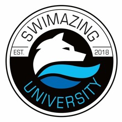 Schwimmtalk ,Triathlongelaber, Q&A mit Swimazing Coach Jan Wolfgarten