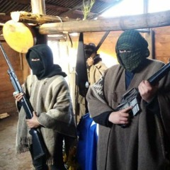 The Violence You Dont See