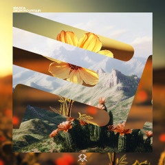 Wasca - Drum Mountain