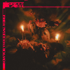 Now For the Real World