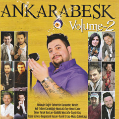 Sen Bilmedin Hallarımı