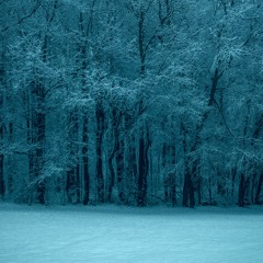 Winter Willow