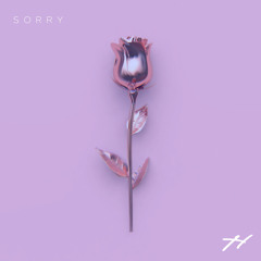 Higs - Sorry