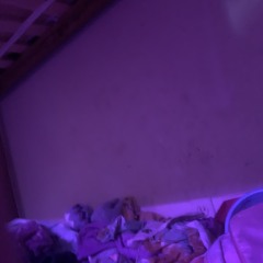 Playlist that fits my empty room wall cause im moving