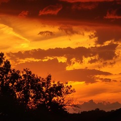 SUPER GALUNGA BOYS (demo)